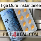 Tige Dure Instantanée 44